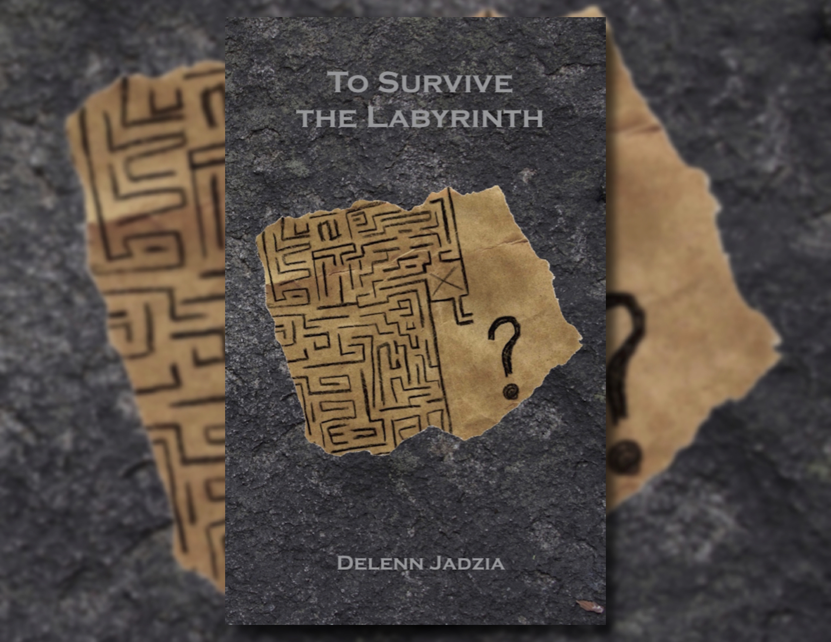 The cover image for the novel To Survive the Labyrinth by Delenn Jadzia